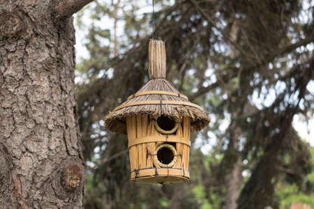 Handmade straw birdhouse hanging on spruceの写真素材
