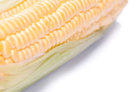 Grains of ripe corn with water droplets.の写真素材