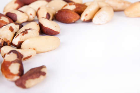 Brazilian walnut on a white background.の写真素材