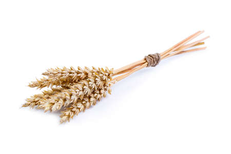 Rye on a white background.の写真素材