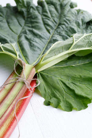 Bundle of rhubarb on white wooden table.の写真素材
