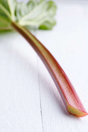 rhubarb on white wooden table.の写真素材
