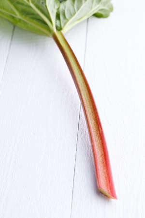 rhubarb on white wooden table.の写真素材