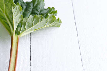 rhubarb on white wooden table.の写真素材
