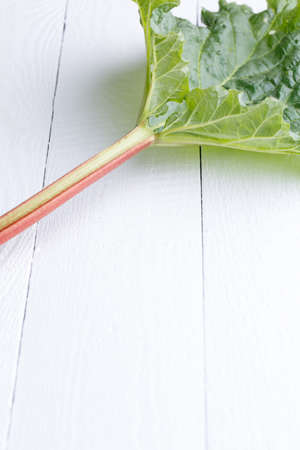rhubarb on white wooden table.の写真素材