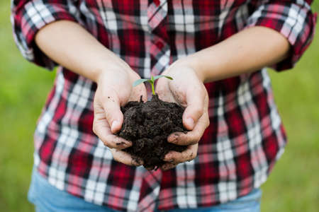 Woman's hands  holding young plant. Ecology conceptの写真素材