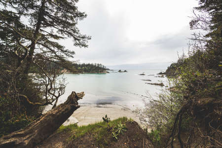 Landscape of Pacific ocean beach and hills.の写真素材