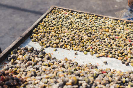 Shell table for tourists in asian market 