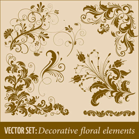 Set of hand drawn decorative vector floral elements for design. Page decoration element.のイラスト素材