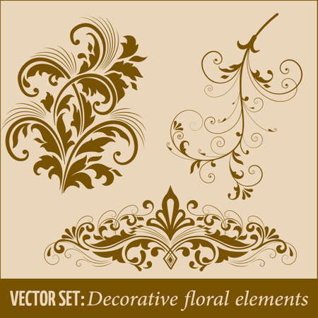 Vector set of calligraphic and page decoration design elements. Elegant elements for your design.のイラスト素材