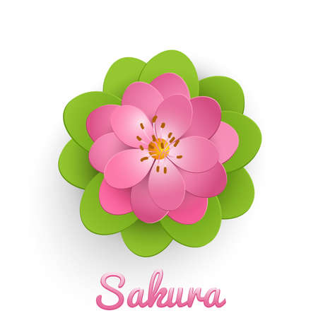 Vector isolated paper cut sakura flower with green leaves. Floral volumetric composition. Elegant element for invitaion cards.のイラスト素材