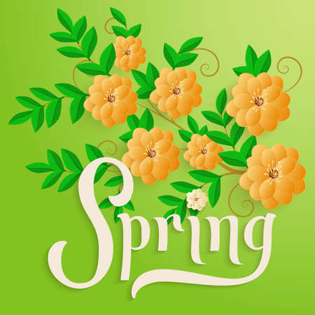 Elegant vector spring invitation card. Vector invitation card with green background and flower elements with beautiful spring typography. Sunny spring backdrop.のイラスト素材