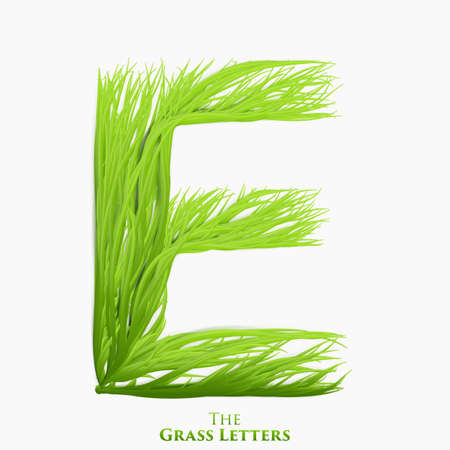 Vector letter E of juicy grass alphabet. Green E symbol consisting of growing grass. Realistic alphabet of organic plants. Spring and ecology typeset illustration.のイラスト素材