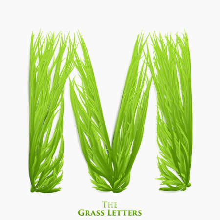 Vector letter M of juicy grass alphabet. Green M symbol consisting of growing grass. Realistic alphabet of organic plants. Spring and ecology typeset illustrationのイラスト素材