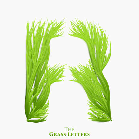 Vector letter R of juicy grass alphabet. Green R symbol consisting of growing grass. Realistic alphabet of organic plants. Spring and ecology typeset illustration.のイラスト素材