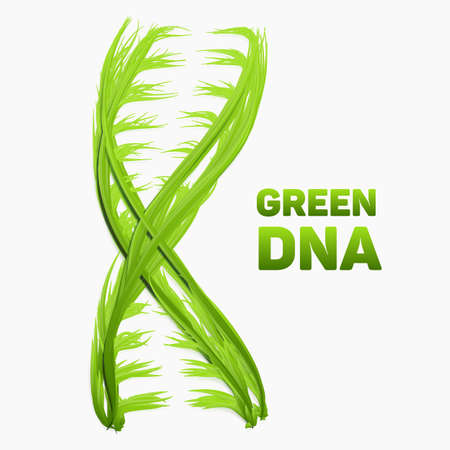 Vector abstract DNA strand as green grass. Conceptual health and ecology medical illustration. Double helix as vibrant green grass molecule. Genom structure. Natural life symbol.のイラスト素材
