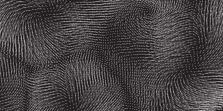 monochrome field visualization of forces. Magnetic or gravitational fluctuations chart. Science backdrop with a matrix of arows with magnitude and direction. Flow representation. Interactionのイラスト素材