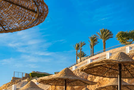 Beach straw umbrella with a palm trees and blue sky background. Tropical leisure scene. Vacation on...