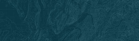 Vector abstract earth relief map. Generated conceptual elevation map. Isolines of landscape surface elevation. Geographic map conceptual design. Elegant background for presentations.のイラスト素材