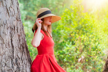 Woman in red dress and hat lean on giant tree eucalyptusの写真素材