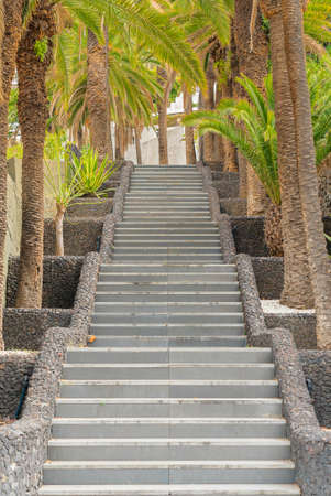 Stone staircase surrounded with palm trees on the street of Puerto de la Cruz, Tenerife, Canary...
