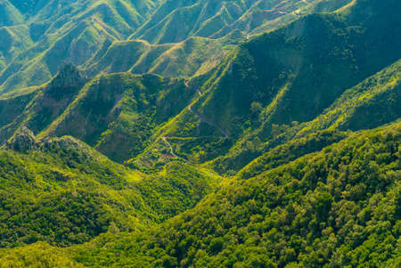 Scenic mountains covered with forest and winding road in Anaga rural park on a sunny day, Tenerife, Spainの写真素材