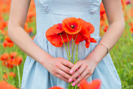 Closeup of young beautiful woman holds a poppy bouquet in her hands in a poppy field on sunny summer dayの写真素材