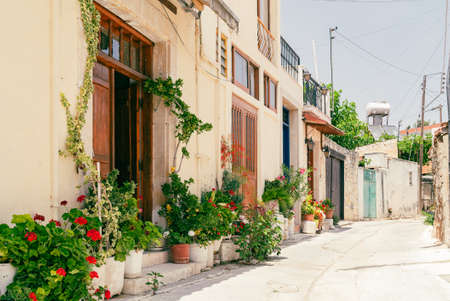 Sunny narrow street in old village Omodos on Cyprus. Stone walls and vibrant green plants on a sunny dayの写真素材
