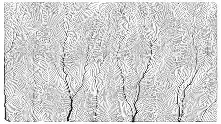 Growth pattern. Generative branching structure. Organic net of vessels textureのイラスト素材