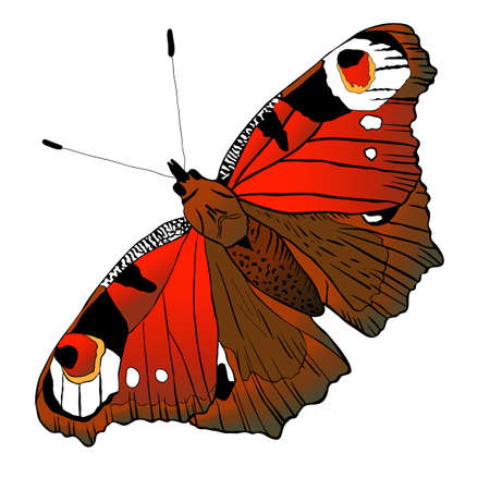 Vecor butterfly. Abstract insect silhouette black and white illustration.のイラスト素材