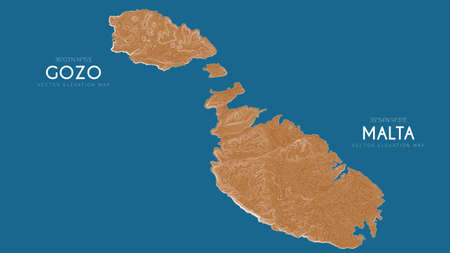 Topographic map of Malta and Gozo, Italy. Vector detailed elevation map of island. Geographic elegant landscape outline posterのイラスト素材