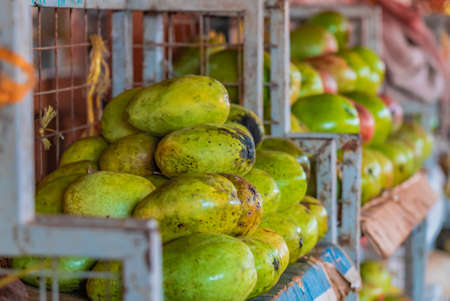 Mango on the counter of food market in Zanzibar, Tanzaniaの写真素材