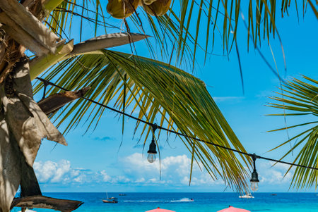 Fishing ships and boats in water of Indian ocean shot under the palm. Zanzibar, Tanzania.