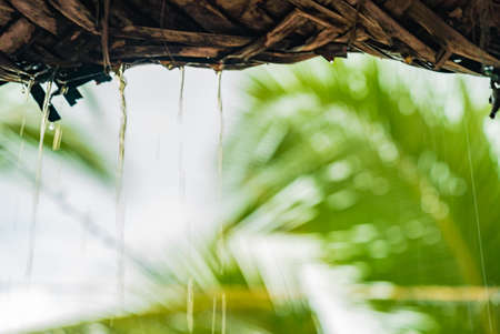 Rain drops from roof made of palm leavesの写真素材