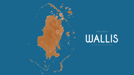 Topographic map of Wallis, France. Vector detailed elevation map of island. Geographic elegant landscape outline posterのイラスト素材