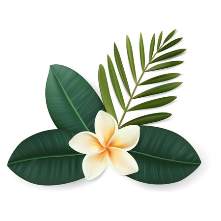 Vector tropical leaves and plumeria flower composition isolated on white background.のイラスト素材