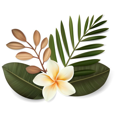 Vector tropical leaves and plumeria flower composition isolated on white background.のイラスト素材