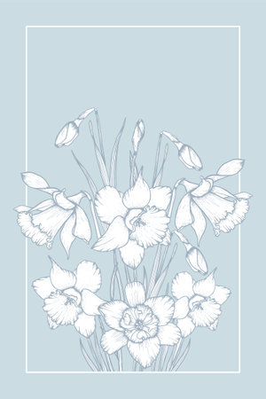 Vector Invitation card with illustration of daffodil hand-drawn flowers. Blooming Narcissus.のイラスト素材