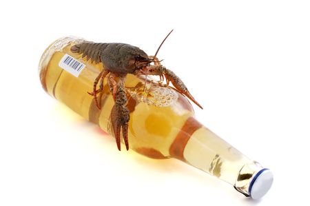 Lobster on a bottle on a white backgroundの写真素材