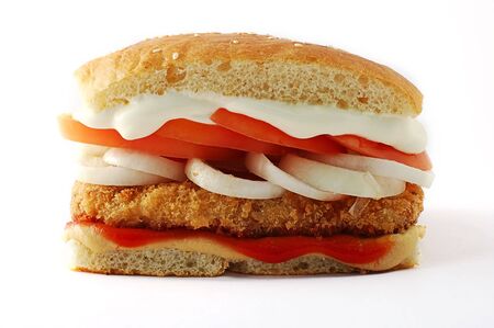 Hamburger with tomatoes and mayonnaise on white a backgroundの写真素材