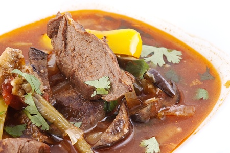 Meat with a broth and vegetables close up