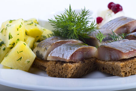Herring with black bread and a potato close up with small depth of sharpnessの写真素材