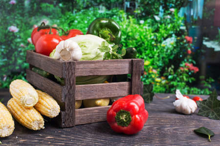 Fresh harvested vegetables. Pepper, tomatoes, cabbage, eggplants, salad, onion and basil in wooden...