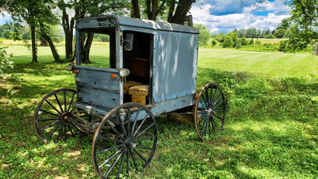 passenger forgotten vintage carriage in the summer garden