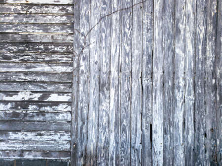 Textured background of old gray faded boards covered with cracksの写真素材