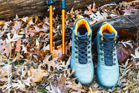 Mountain boots and trekking poles on the autumn foliage in the forest. space for text.