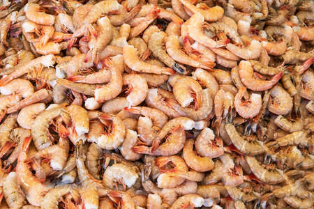 fresh Seafood, shrimps on the seafood market counter. background.の写真素材