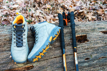 Hiking boots and trekking poles lie on a log in the autumn forest. top of view.の写真素材