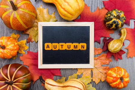 AUTUMN. cubes with letters on a gray table with pumpkins and autumn leaves. view from above.の写真素材