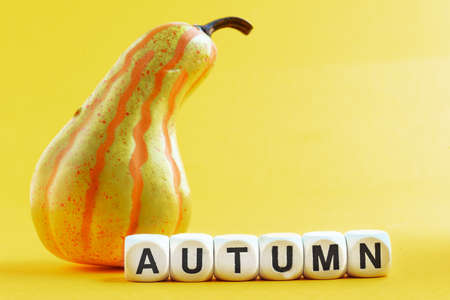 Yellow pumpkin on a yellow background. The inscription AUTUMN is made up of bone cubes.